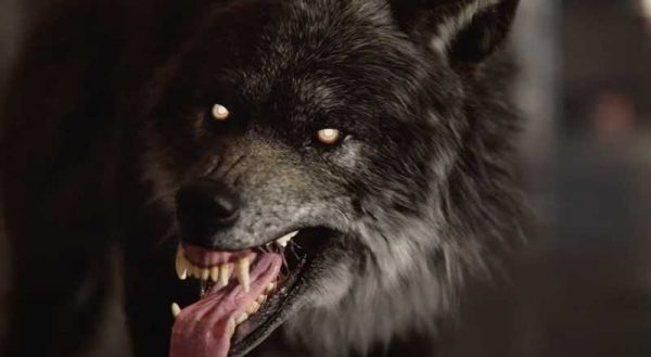 خرید بازی Werewolf The Apocalypse – Earthblood-for-ps5-tilno.jpg برای PS5