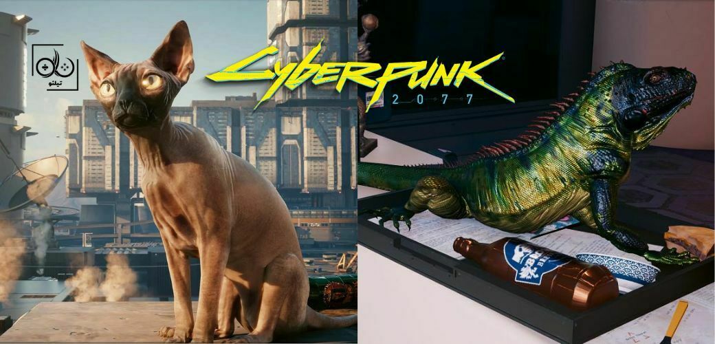 چگونه در بازی Cyberpunk 2077 حیوانات خانگی داشته باشیم؟