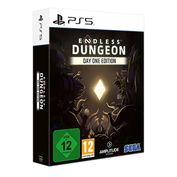 خرید بازی Endless Dungeon Day One Edition برای PS5