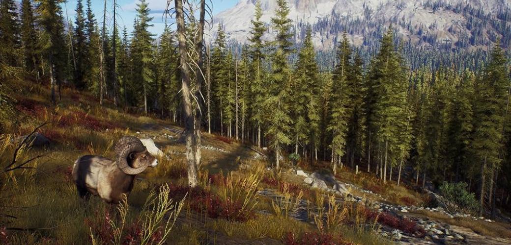 خرید بازی Way of the Hunter: Hunting Season One برای PS5 با کمترین قیمت