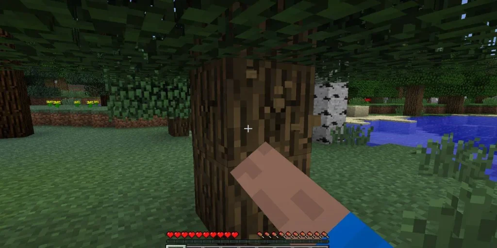 imgi 2 Minecraft Punching Tree