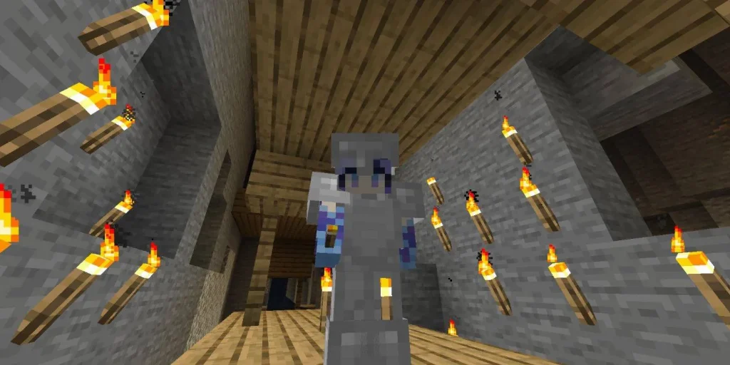 imgi 2 Minecraft Torches Placed Around Player