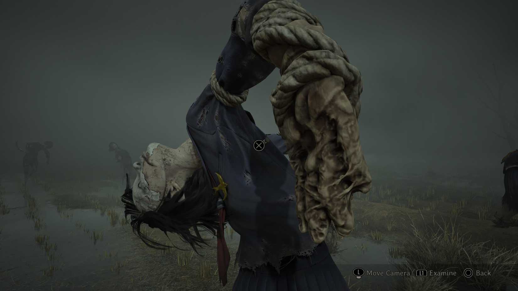 The third field puzzle solution in Silent Hill f on story difficulty